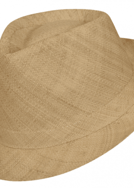 Καβουράκι Μαγαδασκάρης μονόχρωμο