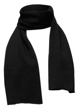 Ανδρικό κασκόλ Stamion 114272