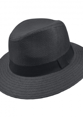 Ψάθινη Fedora Stamion
