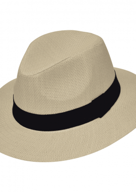 Ψάθινη Fedora Stamion