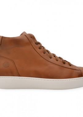HAWKINS PREMIUM - HAWKINS ΔΕΤΟ 72314-726 TAMΠΑ