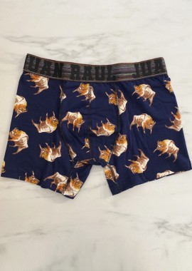 Ανδρικό βαμβακερό μπλε μποξεράκι με σχέδιο JR254182