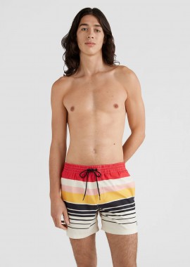 HORIZON SWIM SHORTS 15