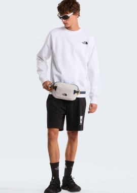 THE NORTH FACE - The North Face ανδρικό σορτς