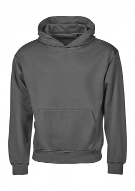 Φούτερ με Κουκούλα Heavy Loose Fit 5162 Tee Jays Powder Grey