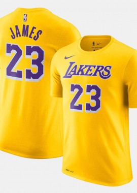 Nike NBA LeBron James Los Angeles Lakers Παιδικό T-shirt (9000176851_29154)
