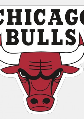 Wincraft Nba Prc Mag Cd C Bulls (9000179090_16406)