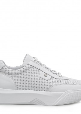 SNEAKERS σχέδιο: U549A3803