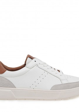 SNEAKERS σχέδιο: U55376093