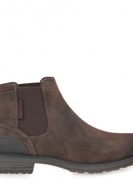 ΜΠΟΤΑΚΙΑ σχέδιο: V503G5281