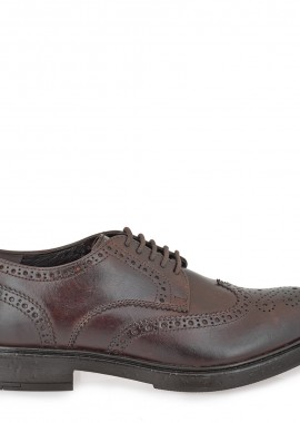 OXFORDS σχέδιο: V527R6202