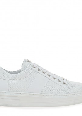 SNEAKERS σχέδιο: V549A6422