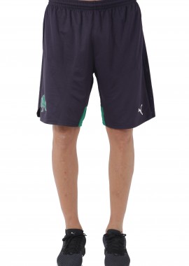 Panathinaikos - Panathinaikos Puma Σορτς 749562-02-02 Ανδρικό