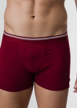 Berrak - Ανδρικό μποξεράκι BORRIS Βαμβακερό Berrak 24953 Μπορντό
